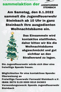 steinbach-weihnachtsbaum-einsammeln