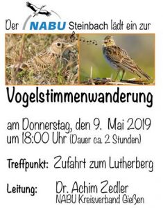 Vogelstimmenwanderung NABU Steinbach
