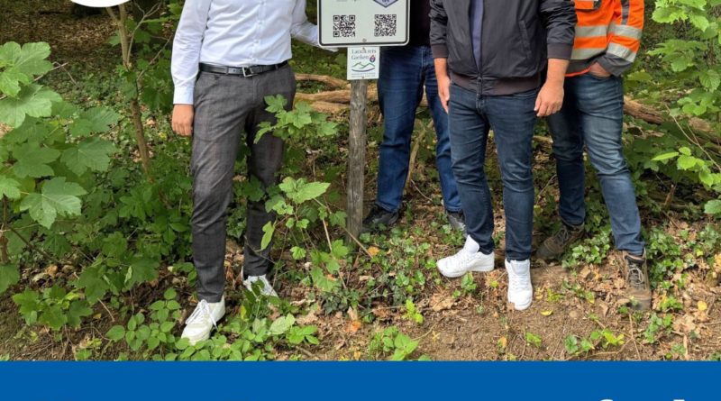 Neuer Bewegungspfad in Albach